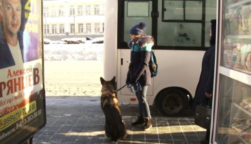 Жительницу Барнаула с собакой выгнали из автобуса