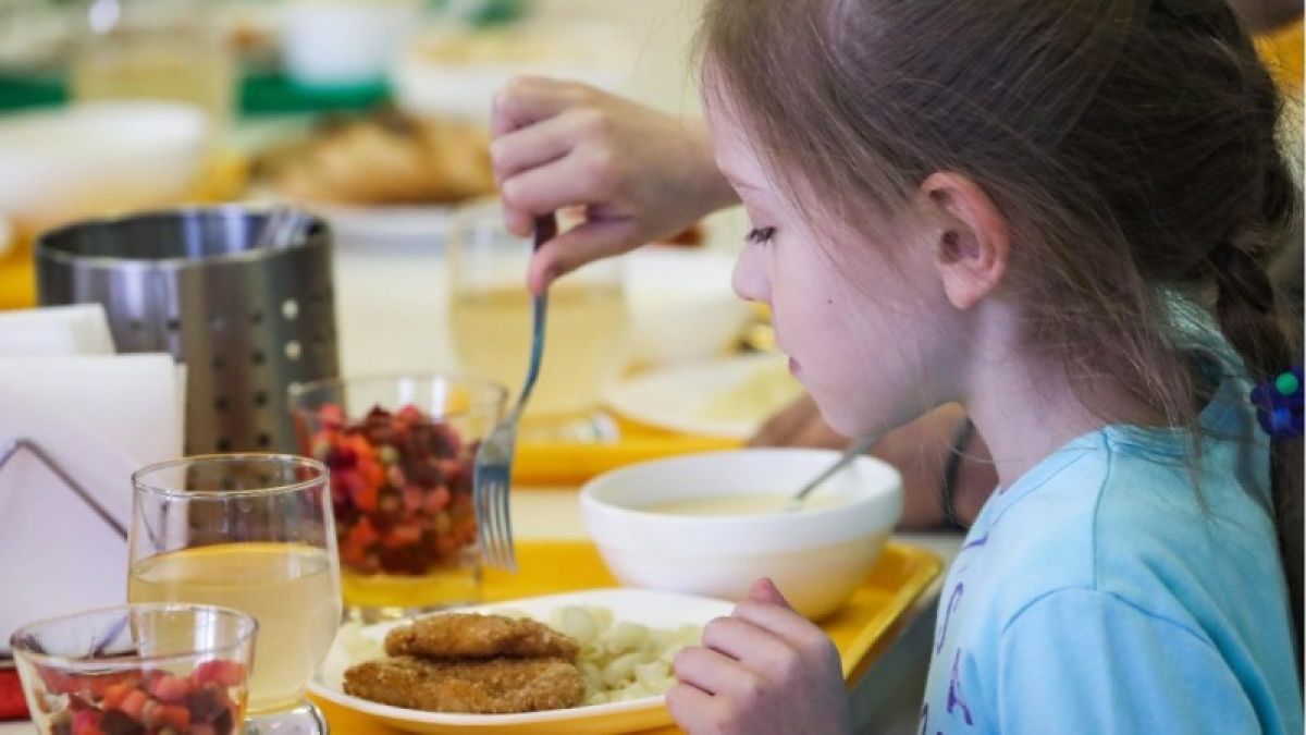 Госдума одобрила бесплатное питание в школах