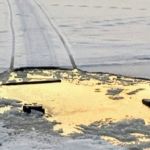 Ушли под лед: двух барнаульских рыбаков ищут в Каменском районе