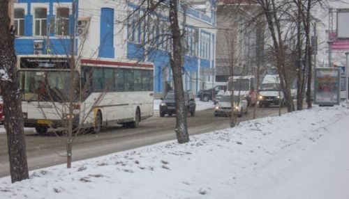 В 2019 году в Алтайском крае поймали 13 пьяных водителей автобусов