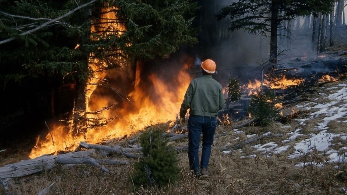 Не только к паводку: в Алтайском крае готовятся к сезону пожаров