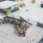 Жильцы трех многоквартирных домов в Новоалтайске не могут поделить мусорку