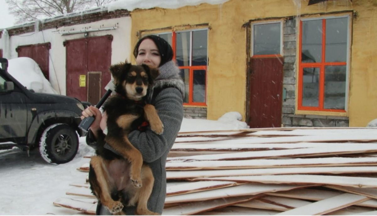 Где в Барнауле можно бесплатно стерилизовать кошку или собаку - Толк  04.03.2020