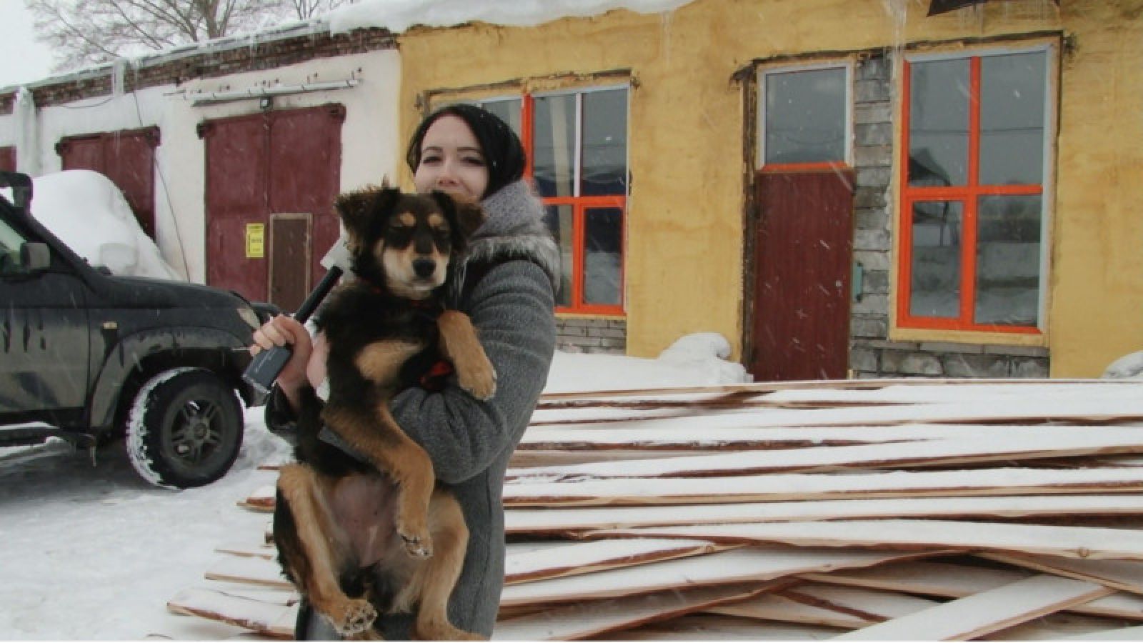 Где в Барнауле можно бесплатно стерилизовать кошку или собаку - Толк  04.03.2020