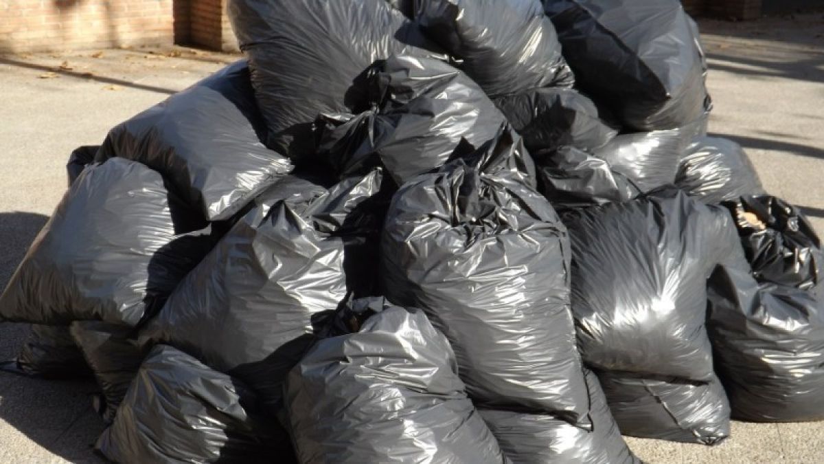 Водители мусоровозов "ЭКО-Комплекса" обнаружили среди отходов трупы животных 
