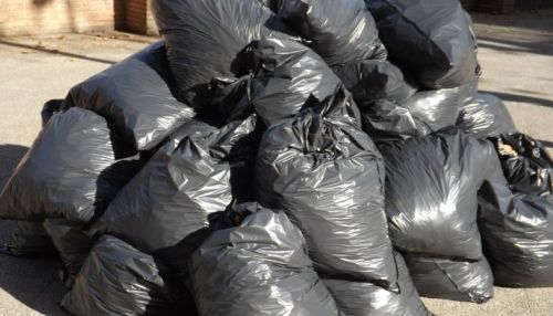 Водители мусоровозов ЭКО-Комплекса обнаружили среди отходов трупы животных