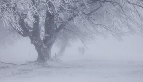 Штормпрогноз: метель и порывистый ветер ожидаются на Алтае 8 марта