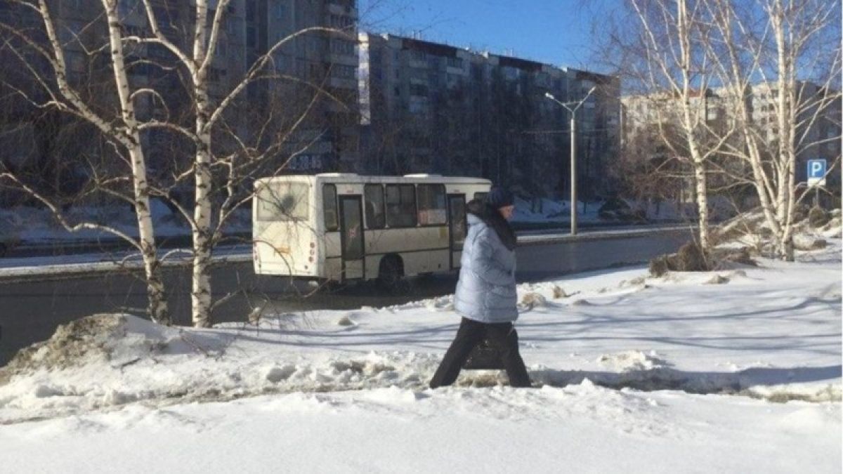 С улиц Барнаула могут исчезнуть большие автобусы 