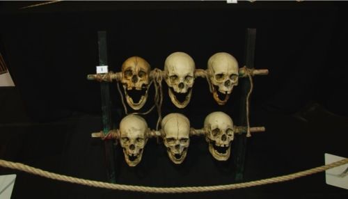 Кости, черепа, смерть: о чем расскажут на ужасно интересной выставке в Барнауле