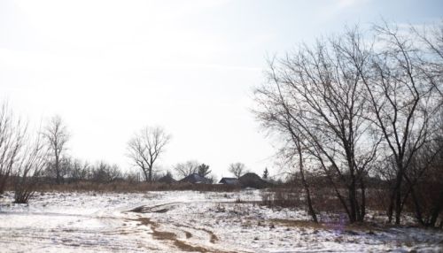 Алтайские сельсоветы терпят миллионные убытки из-за переоценки земель