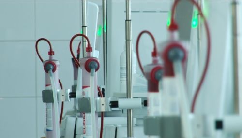 Болезни почек: скрытые симптомы, диагностика и терапия