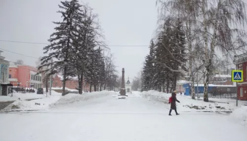 Мокрый снег, метели и до +5 градусов ожидается 7 декабря в Алтайском крае