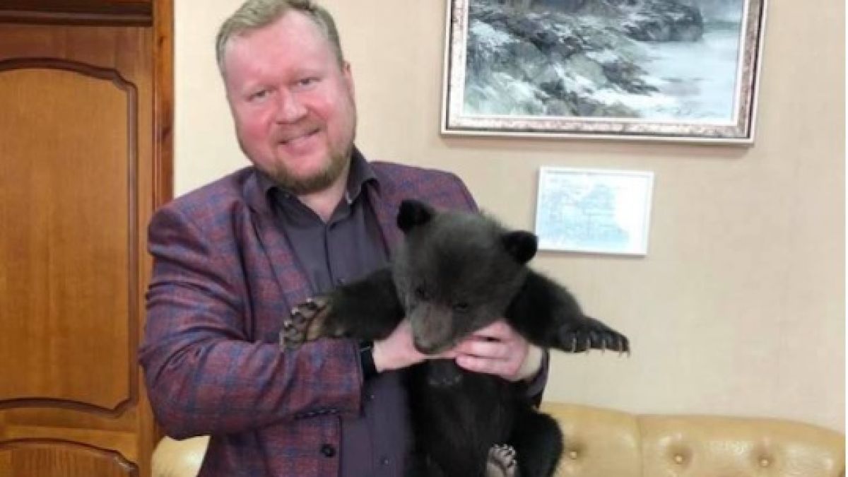 Три медвежонка подрастают в барнаульском санатории
