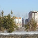Эколог Грибков предлагает отдать последний квартал Барнаула под парк