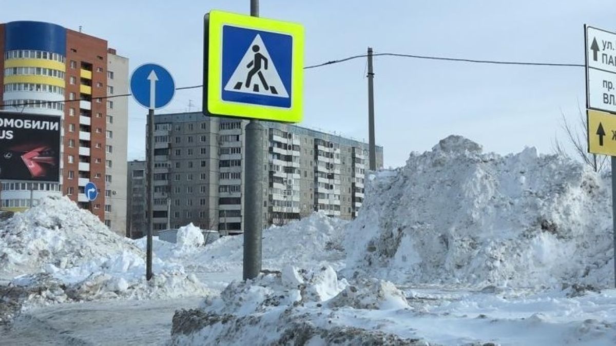 В Барнауле разыскивают сбившего пенсионерку водителя на красной иномарке
