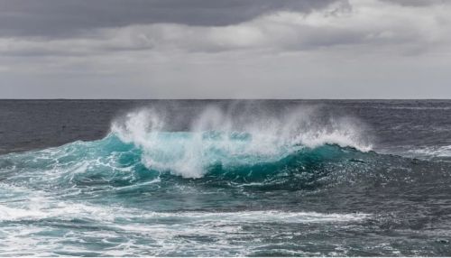 В МЧС назвали высоту волны цунами у Курил после землетрясения
