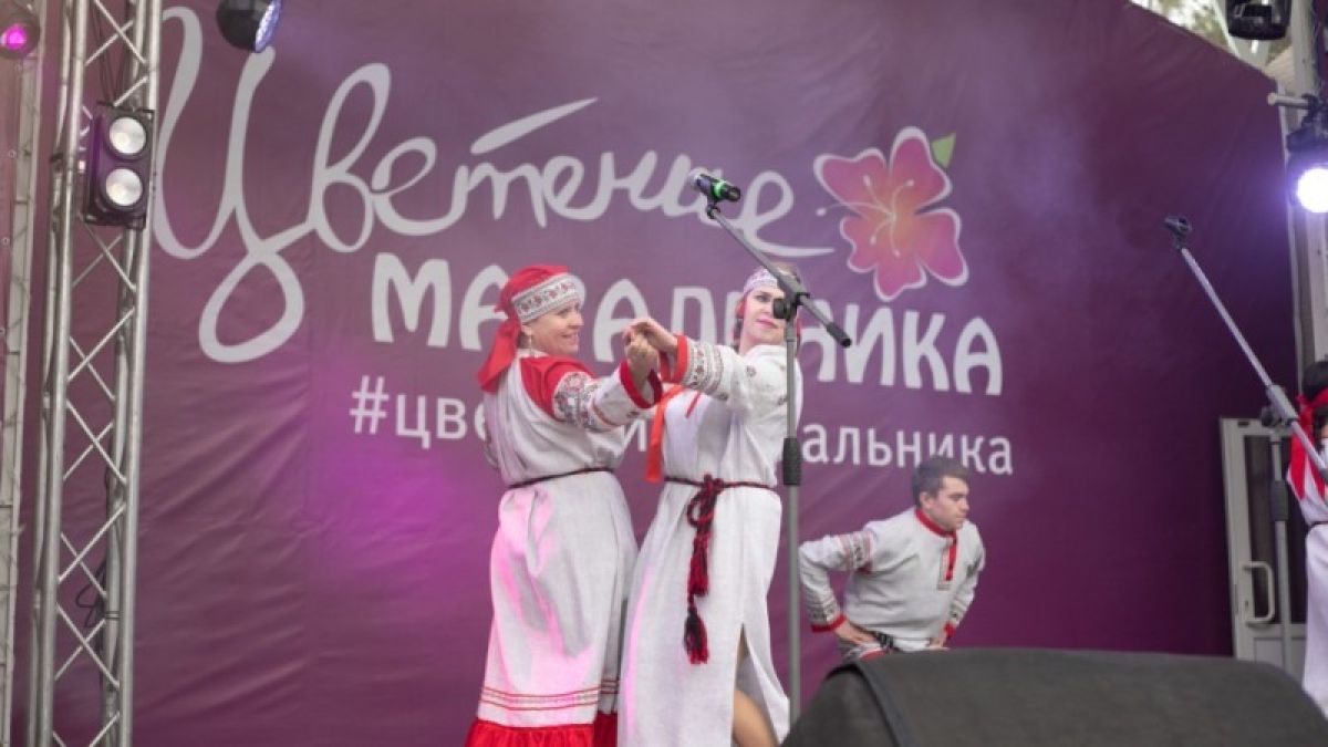 Праздник "Цветение маральника" отменили, Visit Altai перенесли в Алтайском крае