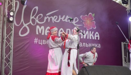 Праздник Цветение маральника отменили, Visit Altai перенесли в Алтайском крае