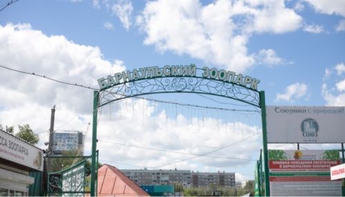 Барнаульский зоопарк закрыли на карантин