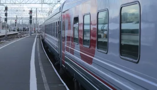 Семимесячная девочка умерла из-за гриппа в поезде Москва – Чита
