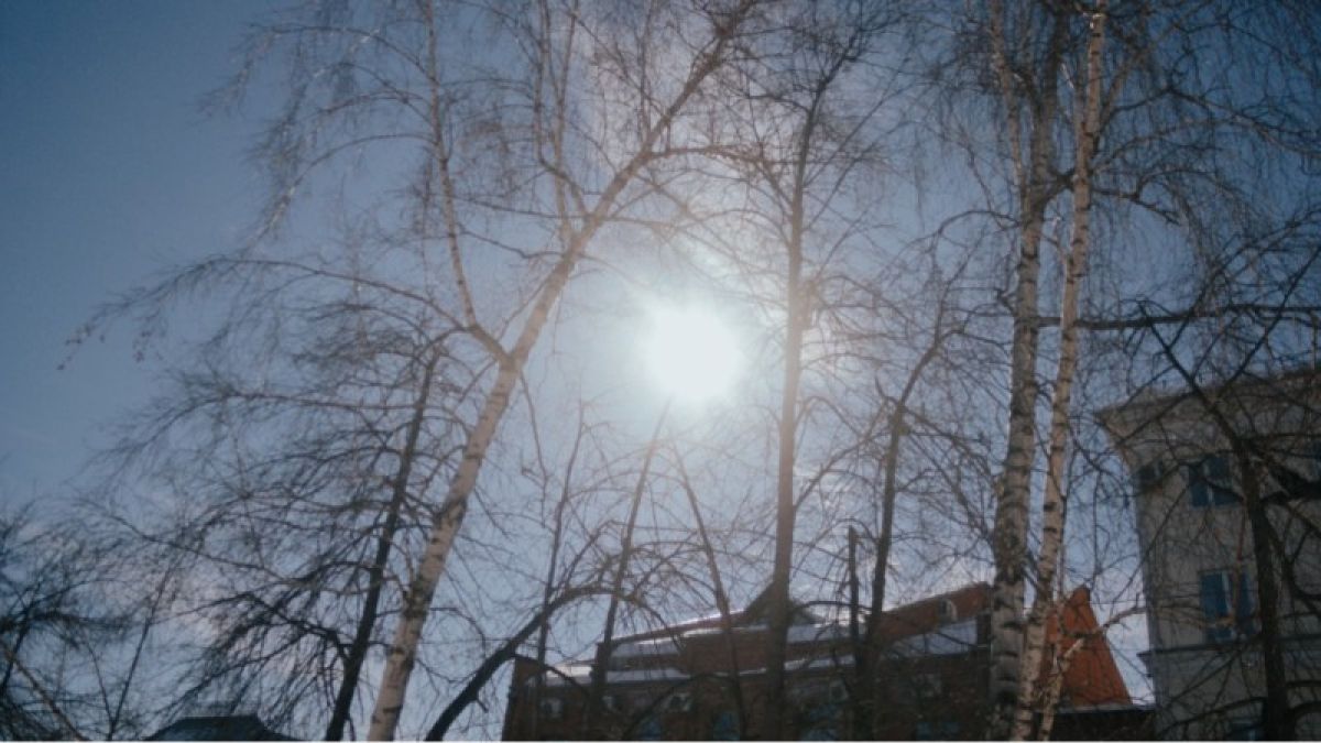 30 марта в Алтайский край придет потепление