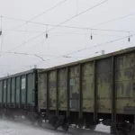 В Алтайском крае грузовой поезд задавил 87-летнюю пенсионерку