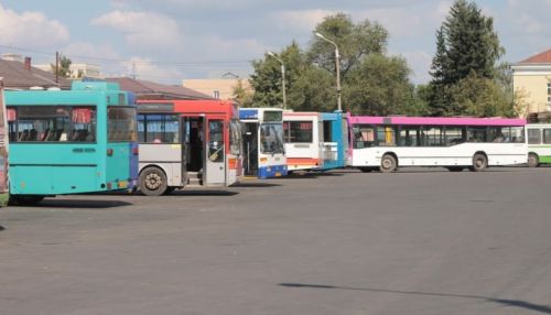 Алтайские автоперевозчики просят поддержки у властей из-за падения доходов