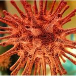 Как распознать коронавирус. Симптомы и признаки COVID-19