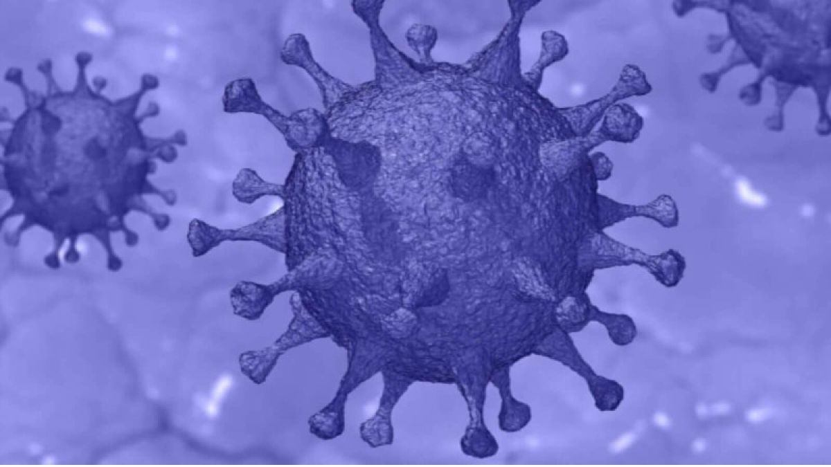 Три новых случая заболевания коронавирусом выявлены в Алтайском крае 