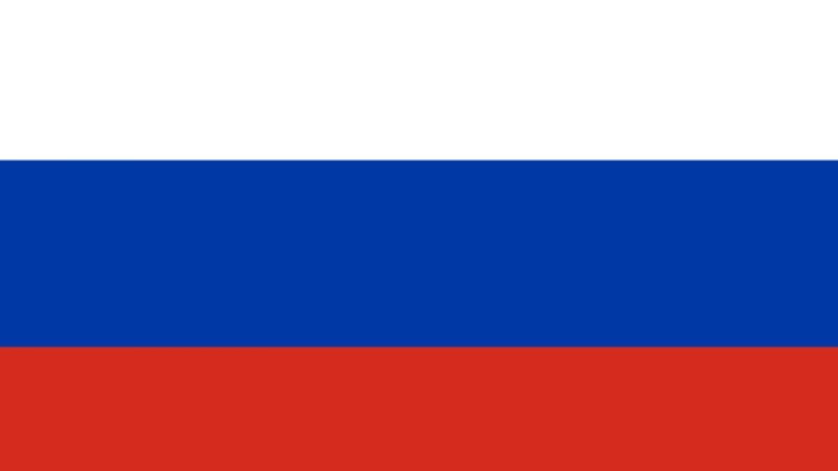 Для чего придумали российский триколор и какие флаги могли его заменить