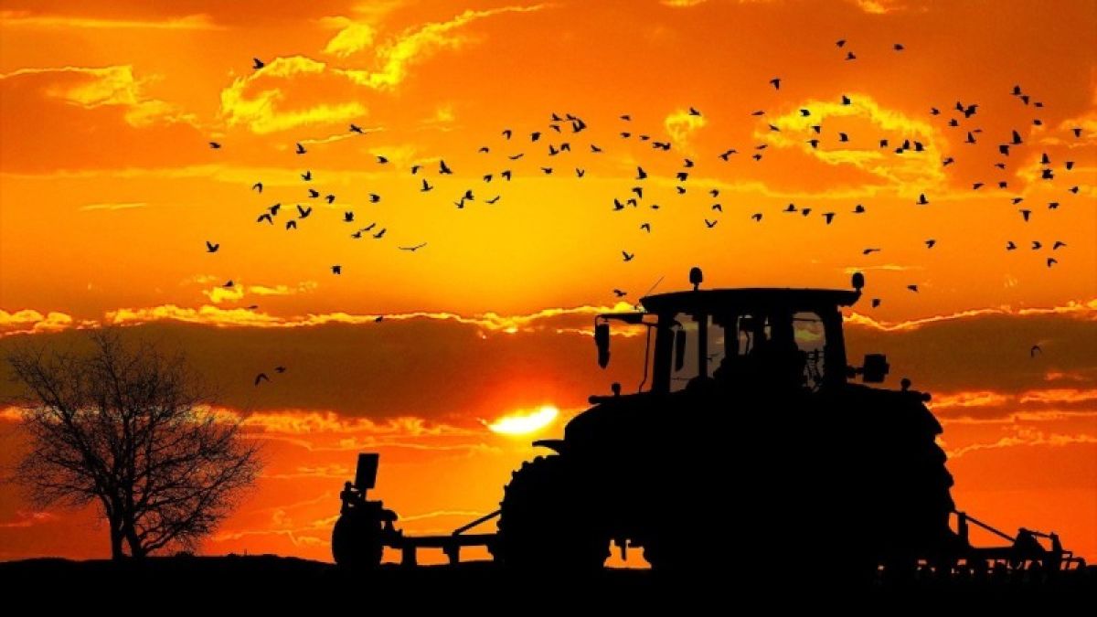 Барнаульцу "светит" реальный срок за продажу несуществующих тракторов