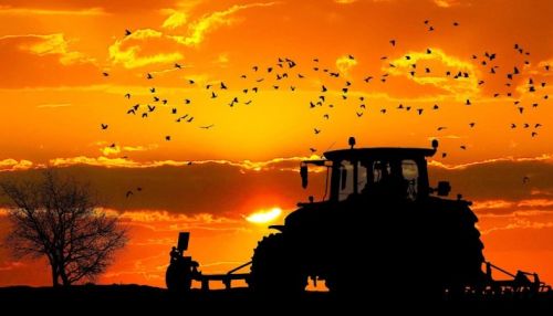 Барнаульцу светит реальный срок за продажу несуществующих тракторов