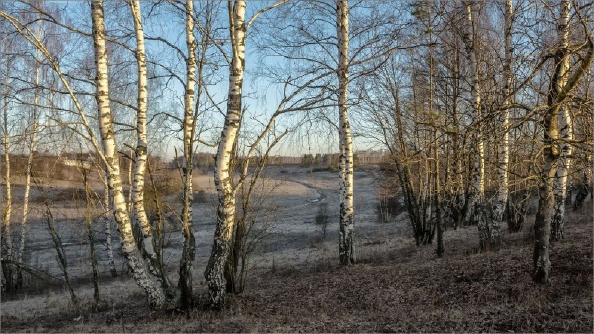 Осадки и все еще прохладно: Алтайский край пережидает непогоду