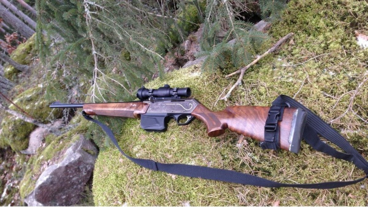 Убита лосиха: замначальника Алтайской таможни обвиняют в незаконной охоте