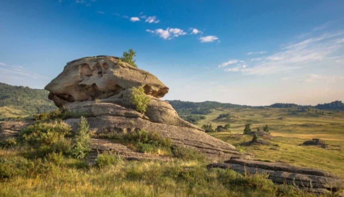 Горная колывань фото