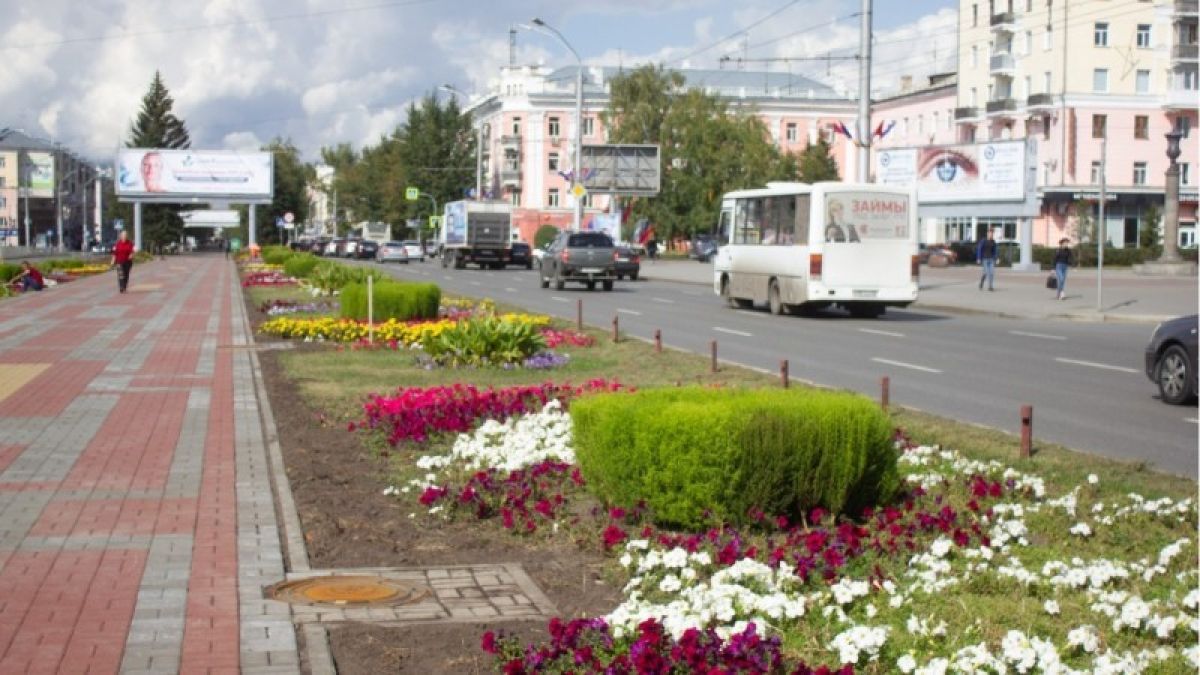 Почти полмиллиона цветов украсят улицы Барнаула в 2020 году