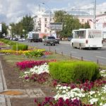 Почти полмиллиона цветов украсят улицы Барнаула в 2020 году