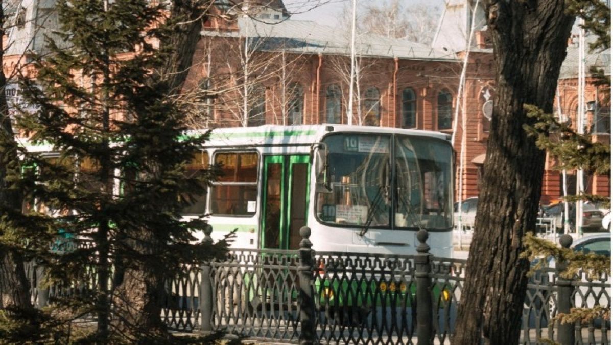 В Барнауле увеличилось количество общественного транспорта