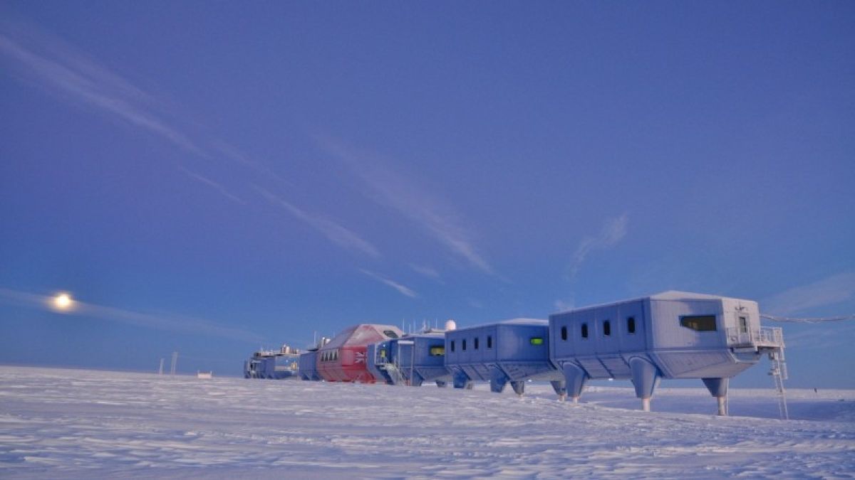 Полярник рассказал, как изменилась жизнь в Антарктиде из-за пандемии