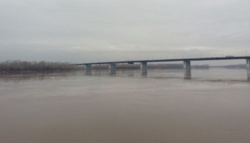 Алтайскому краю паводок пока не грозит, но уровень воды в реках поднимается