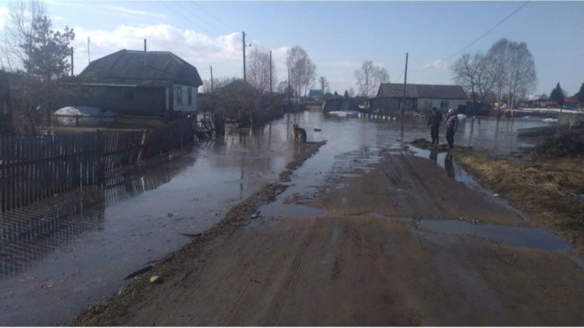 Приусадебные участки подтопило в Красногорском районе
