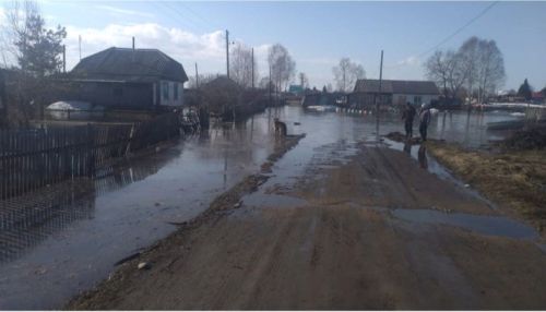 Приусадебные участки подтопило в Красногорском районе