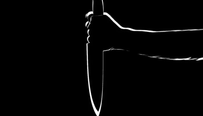 Житель Алтайского края ударил женщину ножом в живот на глазах у ребенка
