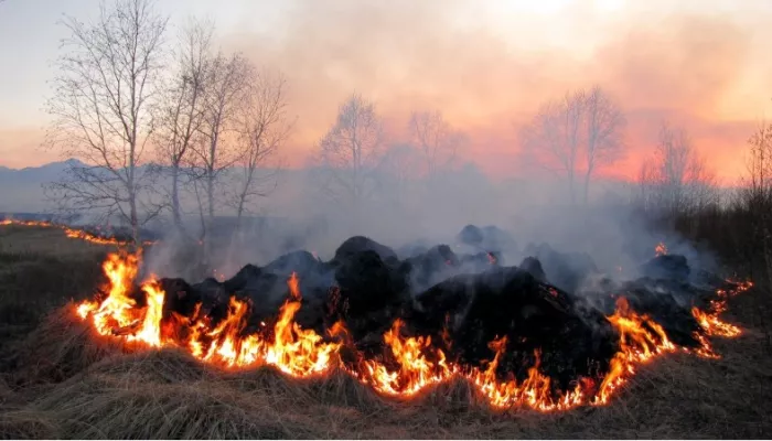 На полях в Алтайском крае возникло несколько очагов пожара