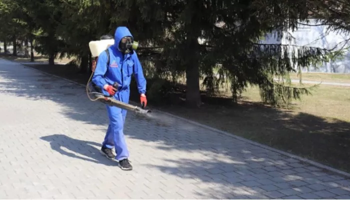 Более 2,2 тысячи человек стали жертвами клещей в Алтайском крае