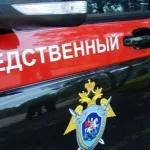 Подростковая жестокость: ученики из сибирского села пытали девочку шнуром и утюгом