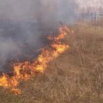 Это похоже на конец света: пожары охватили Алтайский край
