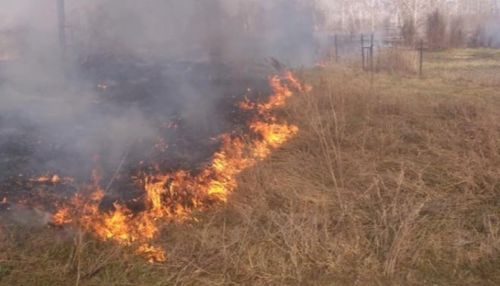 Это похоже на конец света: пожары охватили Алтайский край