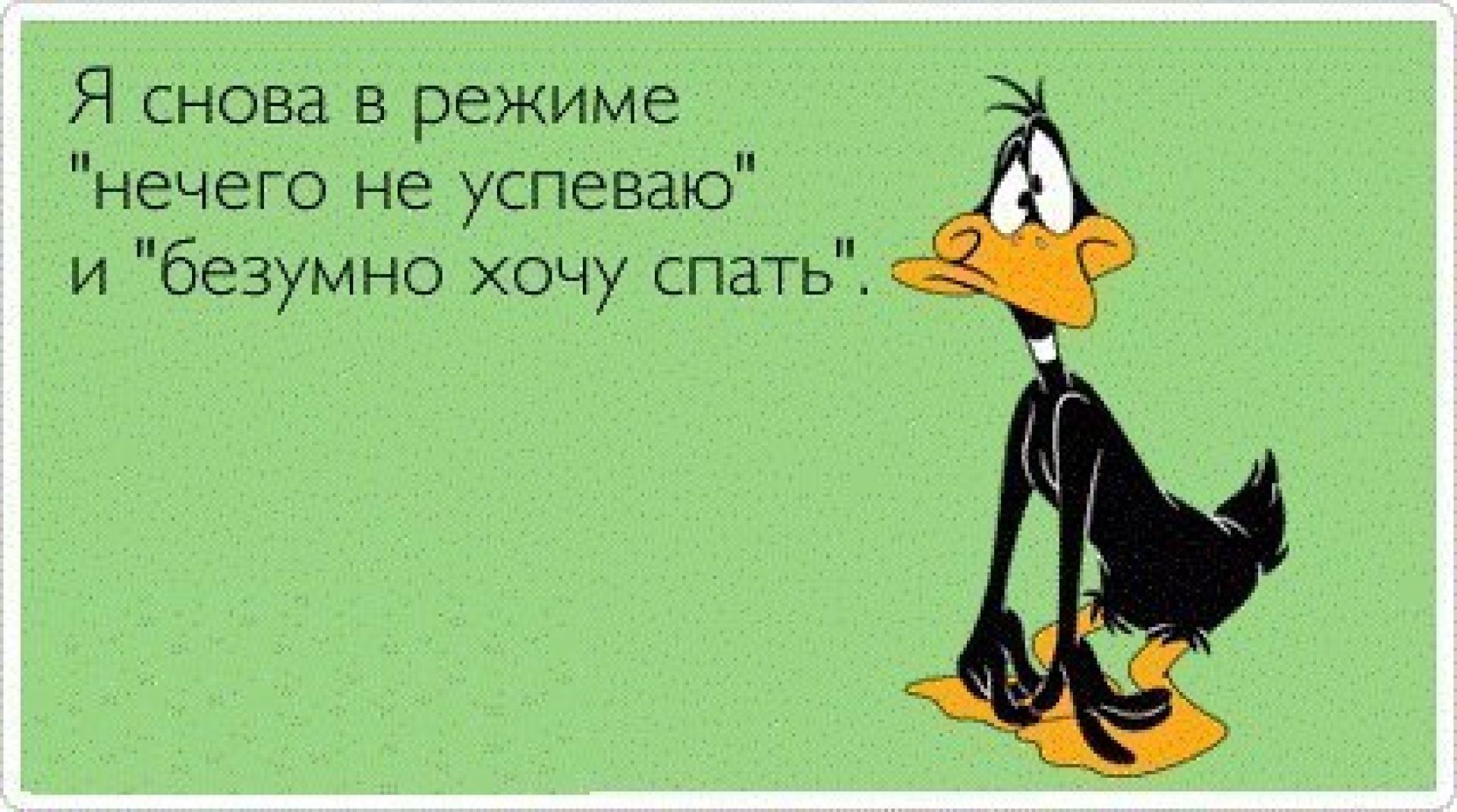 Я уже старался. Мудрость прикол. Мудрость приходит с возрастом. Ржачные мудрости. Возраст мудрости.