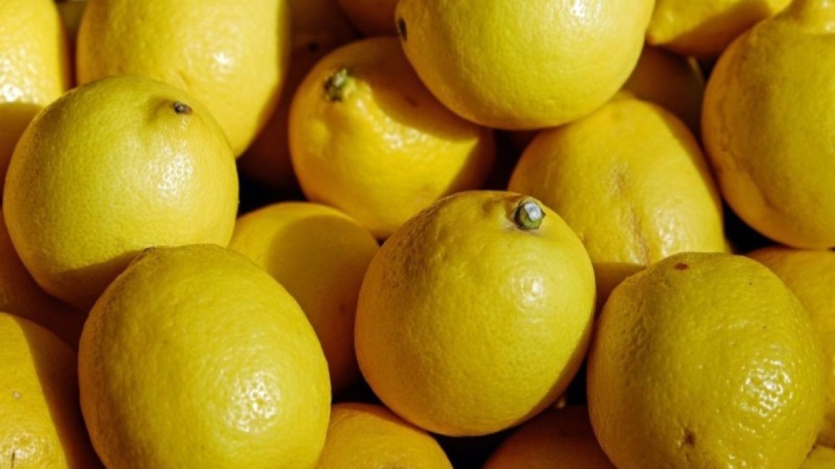 Цены на лимоны в Алтайском крае пошли на спад